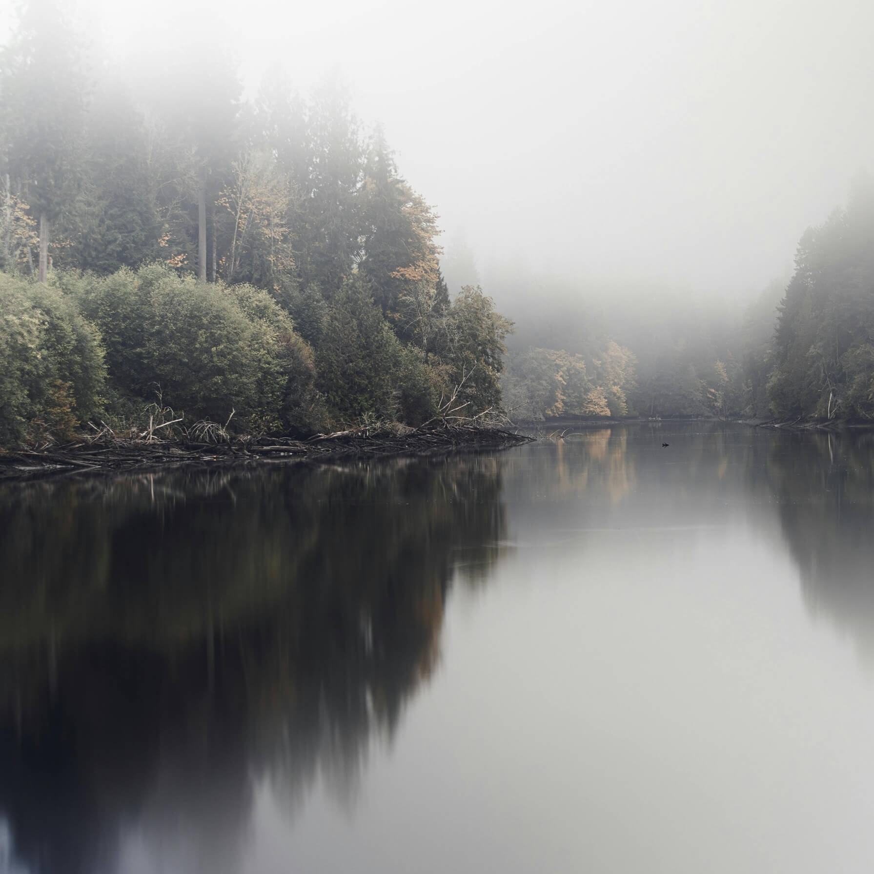 Photo of a still forest lake on a foggy day